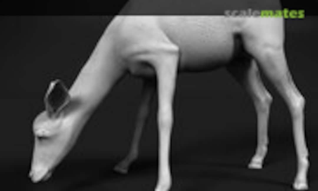 1:35 Impala drinking female (miniNature 5814226) 5814226