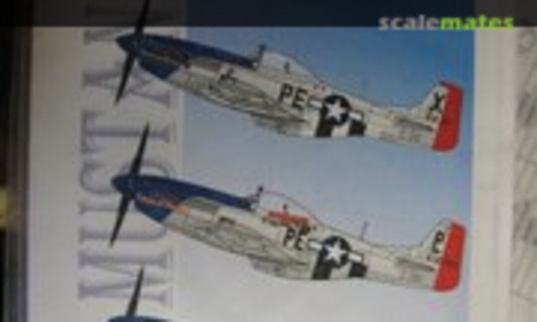 1:24 Blue Nose Birds of Bodney (Eagle Strike Productions 24003) 24003