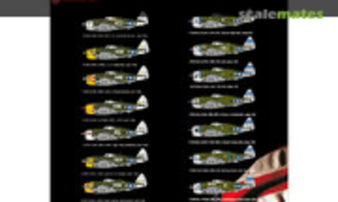 1:48 P-47D razorback over New Guinea & Saipan (HGW Models 248910) 248910