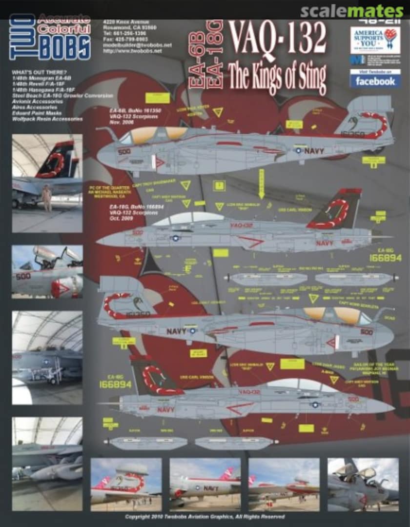 Boxart EA-6B/EA-18G VAQ-132 The Kings Of Sting 48-211 TwoBobs Aviation Graphics Boxart EA-6B/EA-18G VAQ-132 The Kings Of Sting 48-211 TwoBobs Aviation Graphics