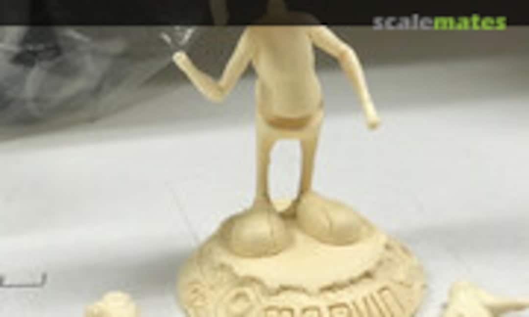 No Marvin The Martian (Wondermass Raven Hood )