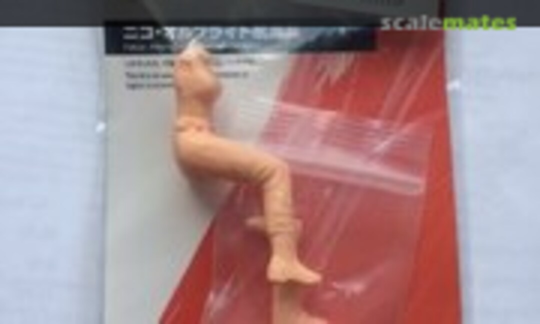 1:20 Nico Albright Vacation lenght (Honemits Products FMTMAK012) FMTMAK012