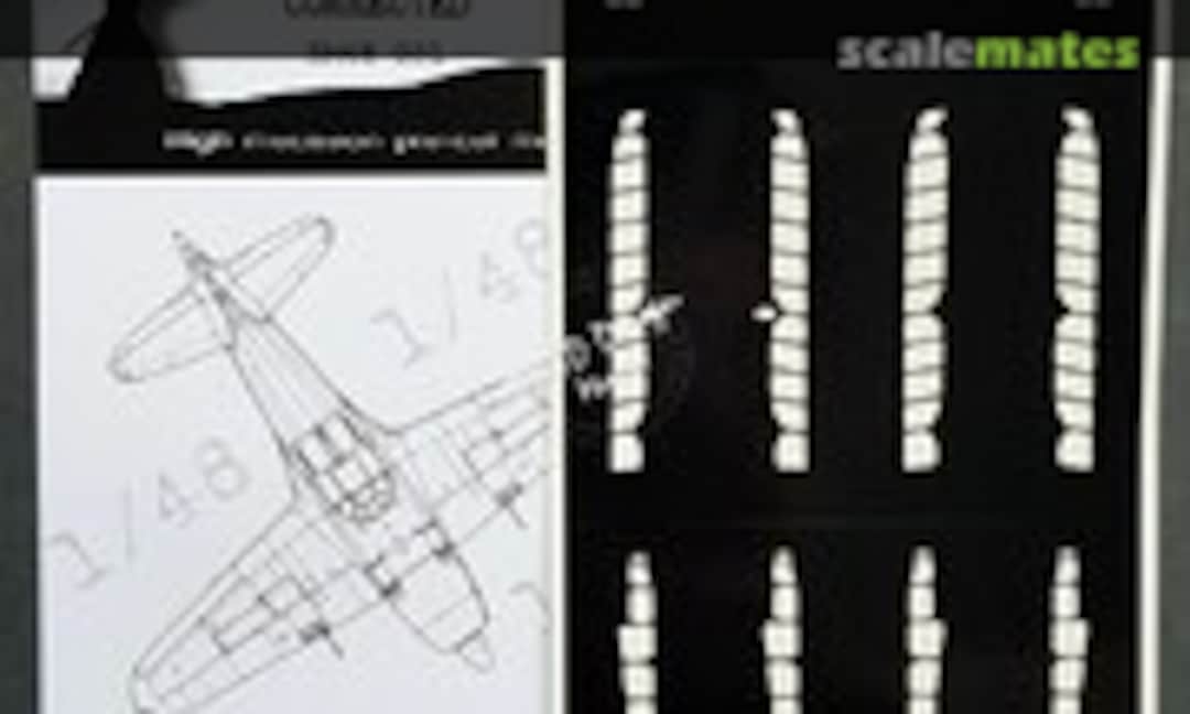 1:48 J2M3/5/6 Raiden (DEAD Design Models SM48031) SM48031