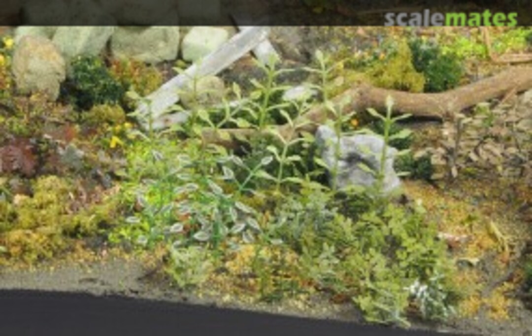 Boxart Plants & Weeds B 35036 Matho Models Boxart Plants & Weeds B 35036 Matho Models