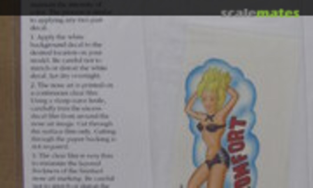 1:48 For B-29 (White Dog Decals 48-272) 48-272