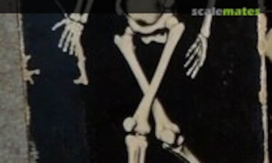 1:6 Skeleton (Superior Plastics Inc. 5400)