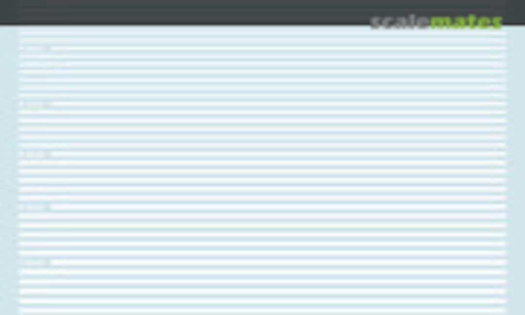 No Decal White Strips (0.2-3 mm) Non scale (Print Scale CAMO-034) CAMO-034