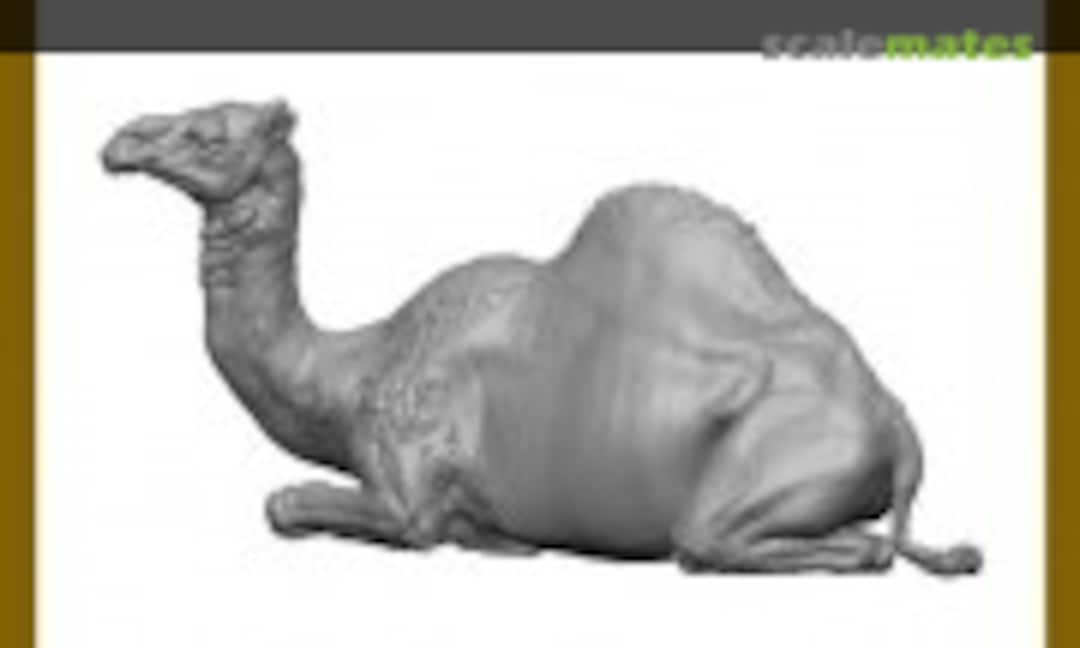 1:72 Dromedary camel lying (Ardennes Miniature D72004) D72004