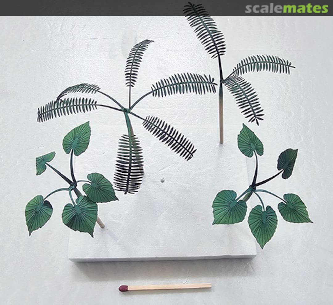 Boxart Jungle - Set A P014-35 Firma49