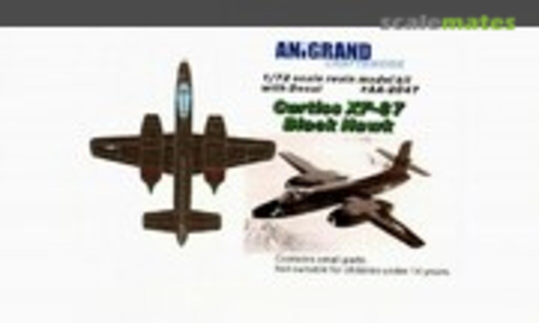 Curtiss XF-87 Black Hawk (Anigrand Craftswork AA-2047)