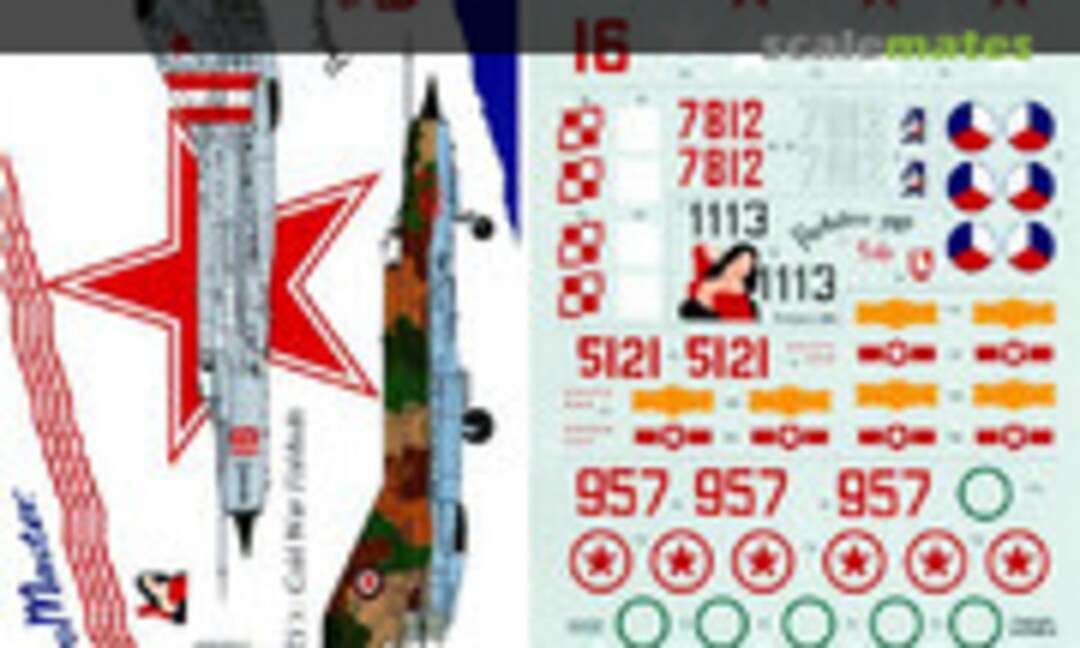 1:48 MiG-21's: Cold War Fishbeds (AeroMaster 48-241) 48-241