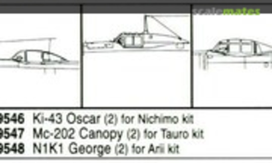 1:48 N1K1-J George Canopy Set (Squadron 9548) 9548