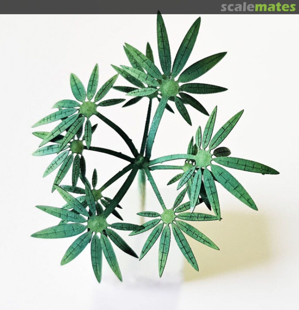 Boxart Jungle Set C P016-35 Firma49 Boxart Jungle Set C P016-35 Firma49