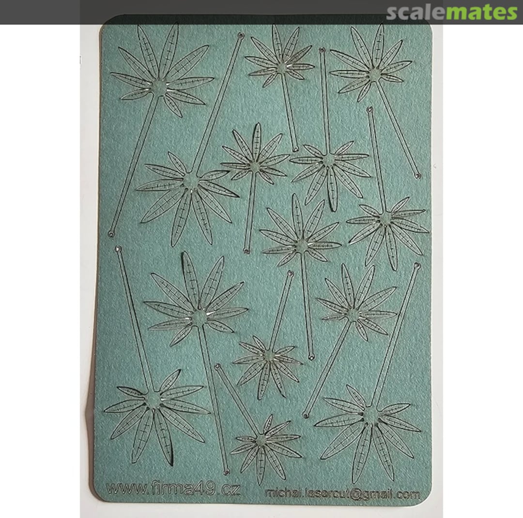 Contents Jungle Set C P016-35 Firma49 Contents Jungle Set C P016-35 Firma49