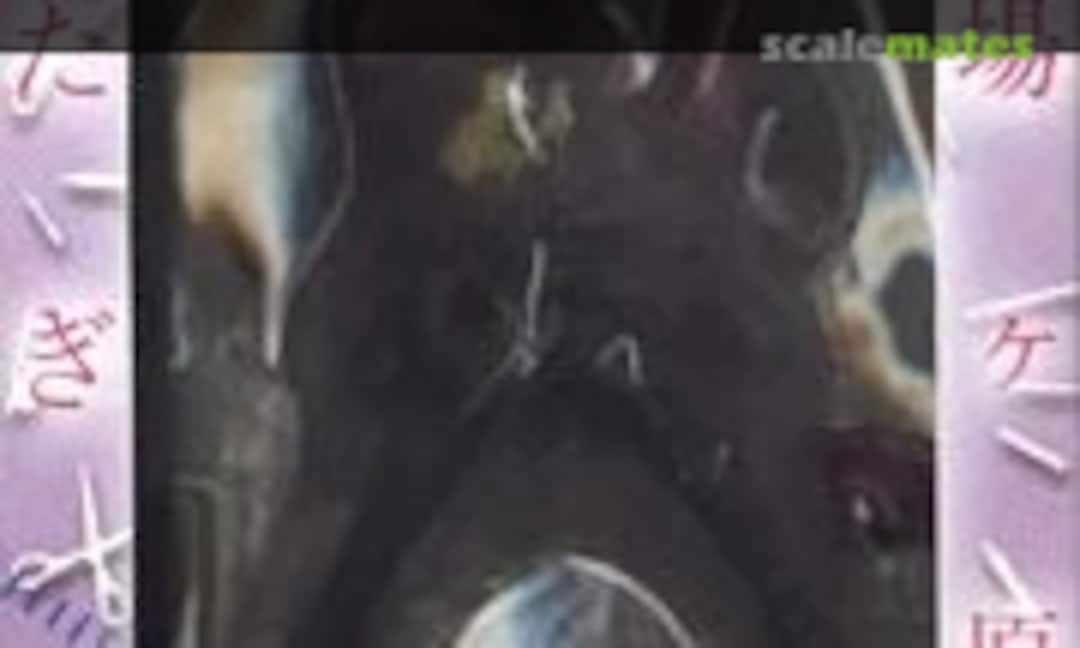 1:8 Senjougahara Hitagi (Bandai 0164573) 0164573