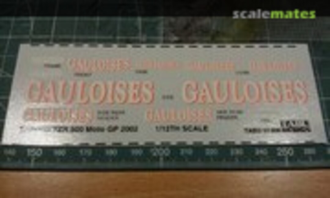 1:12 Yamaha YZR500 Moto GP 2002 (Tabu Design TABU12006)