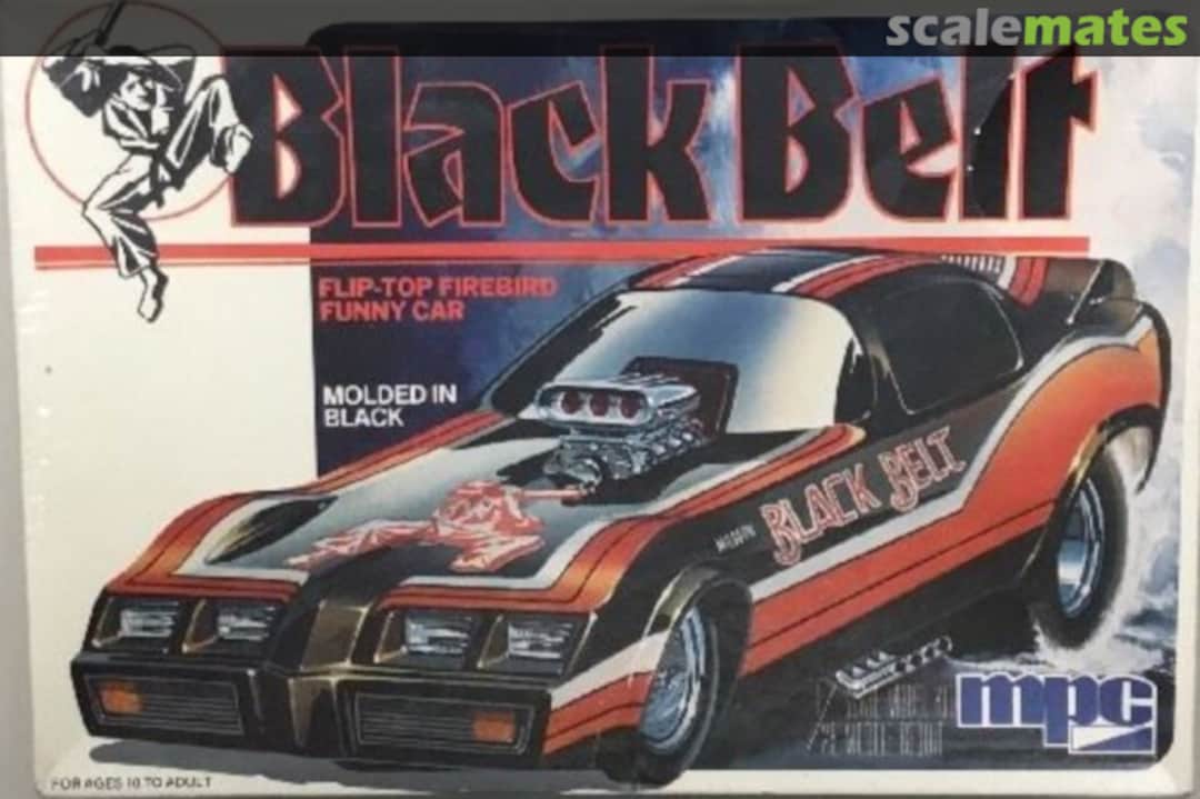 Boxart 1980 Trans Am 1-0801 MPC Boxart 1980 Trans Am 1-0801 MPC