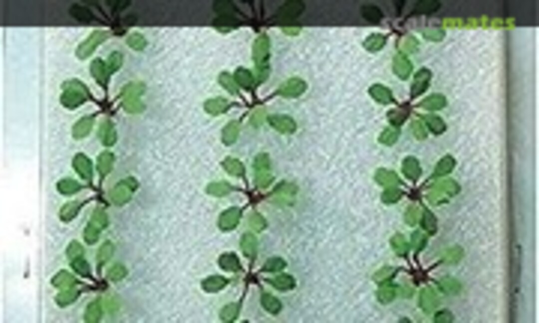 1:48 Rhubarb, Plants (JTT Scenery Products 95593) 95593