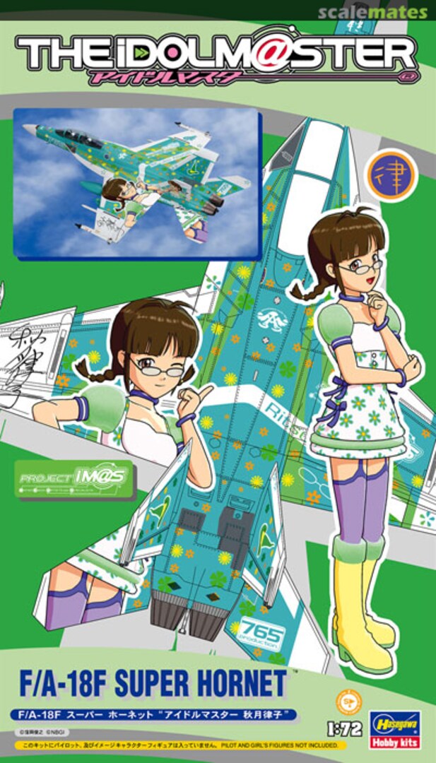 Boxart F/A-18F Super Hornet 51993 Hasegawa Boxart F/A-18F Super Hornet 51993 Hasegawa