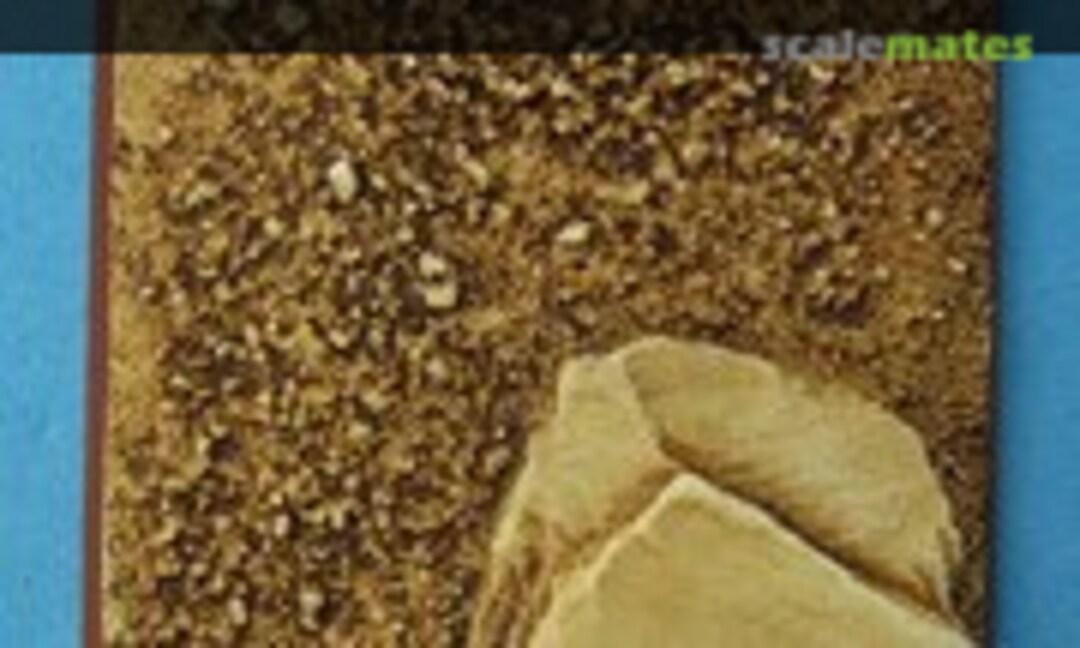 No 50 mm x 50mm Square Base Desert Wasteland (Dragon Forge SRBDW-005) SRBDW-005