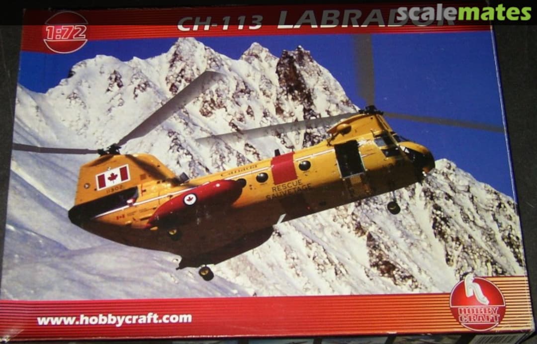 Boxart CH-113 Labrador HC2303 Hobbycraft