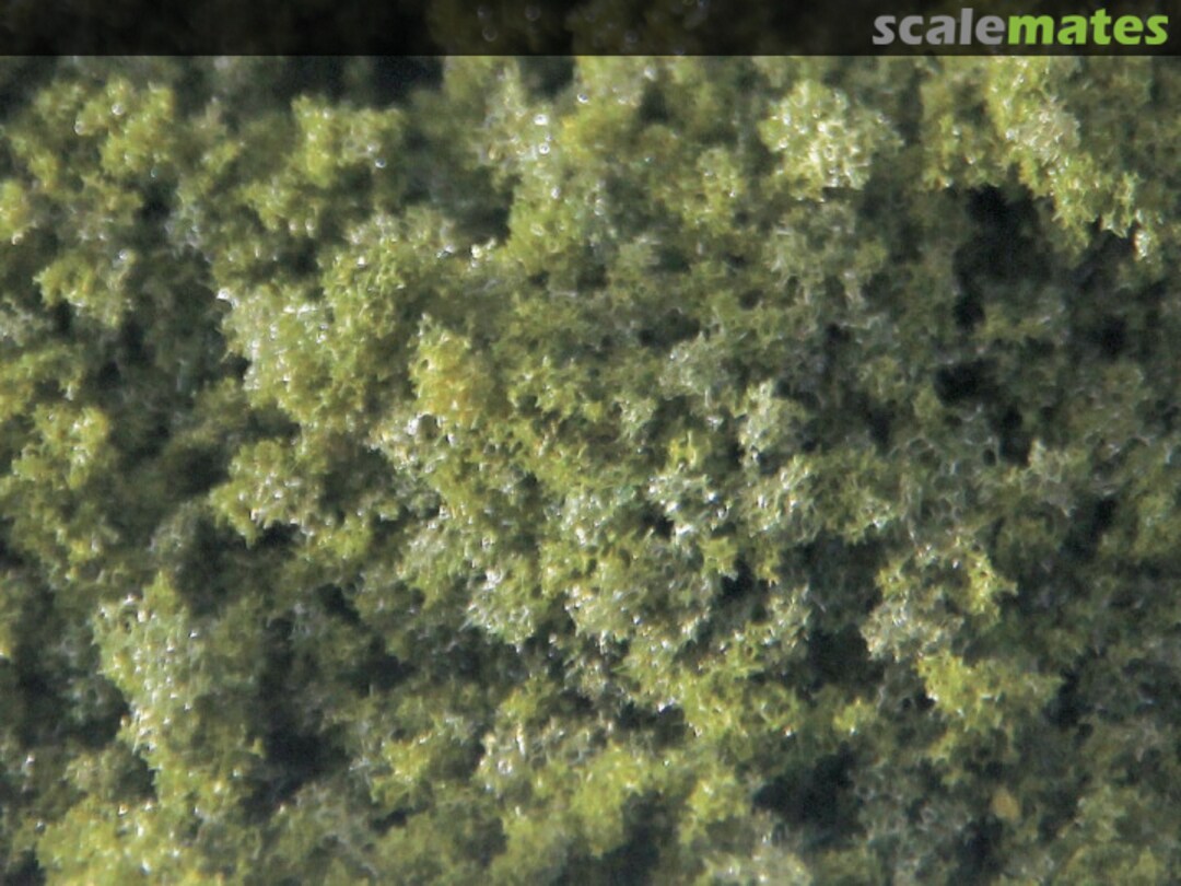 Boxart Moss Green Coarse - Blended Coarse 95250 JTT Scenery Products Boxart Moss Green Coarse - Blended Coarse 95250 JTT Scenery Products