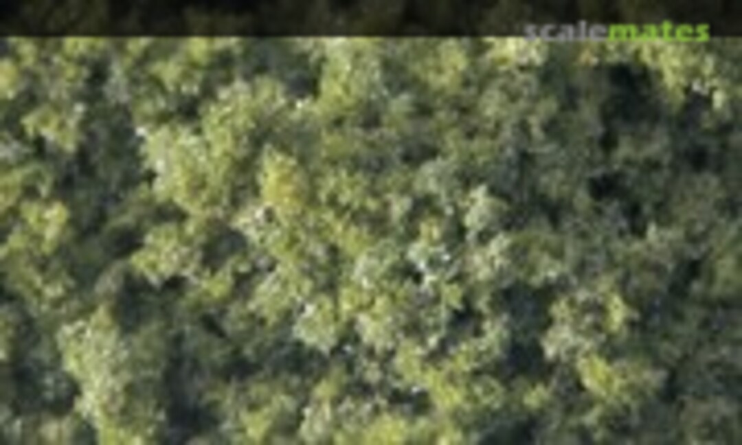 No Moss Green Coarse - Blended Coarse (JTT Scenery Products 95250) 95250