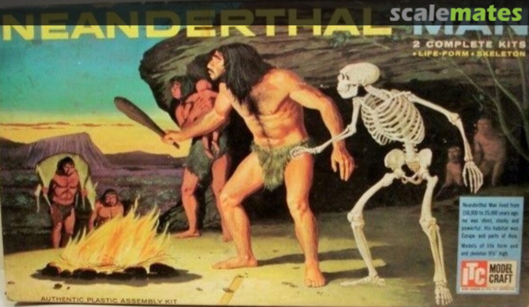 Boxart Neanderthal Man 3707 ITC Boxart Neanderthal Man 3707 ITC