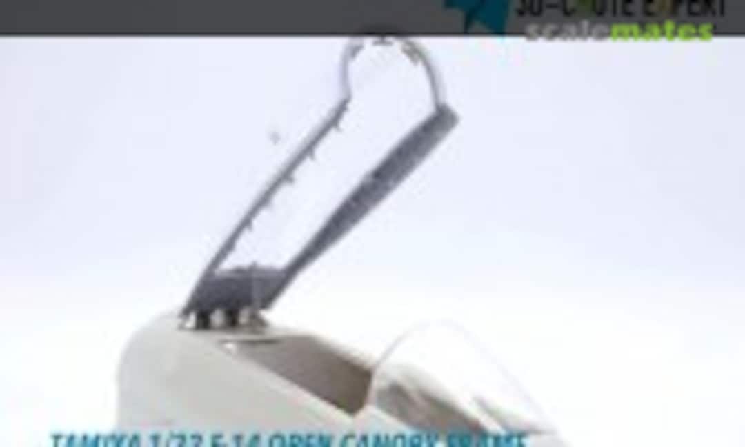1/32 F-14 open canopy Tam
