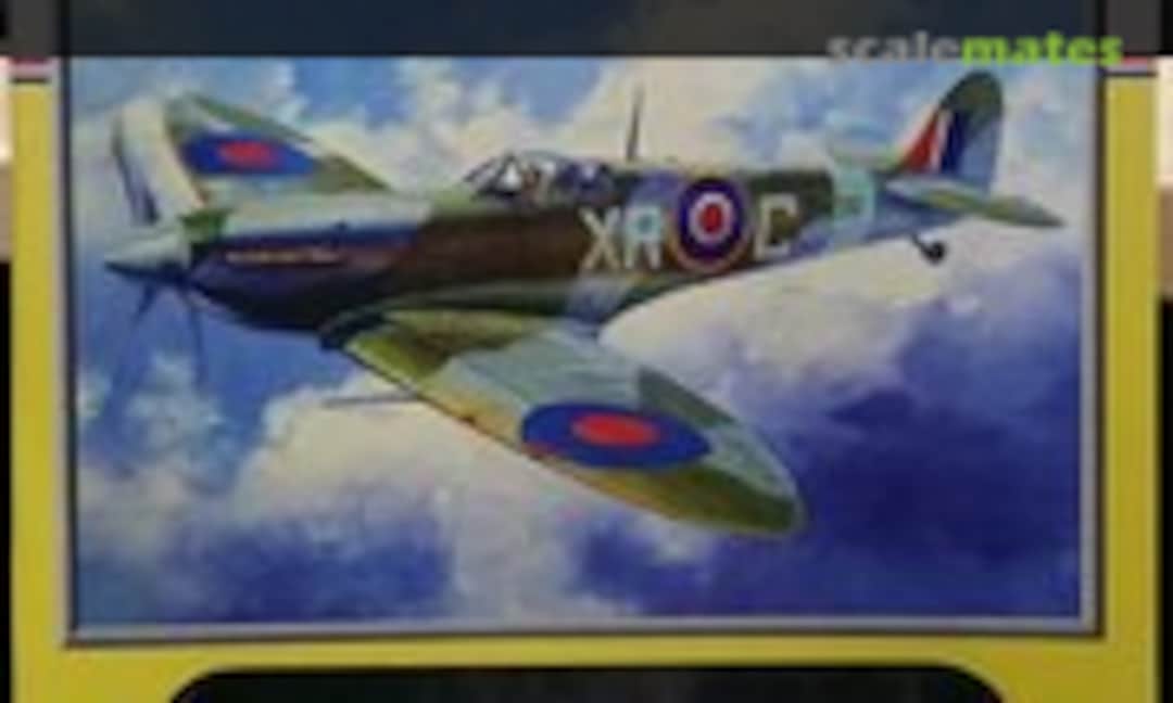 1:100 Spitfire Mk.Vb 243rd FG Fighter Legends Series (Accurate Miniatures 1000)