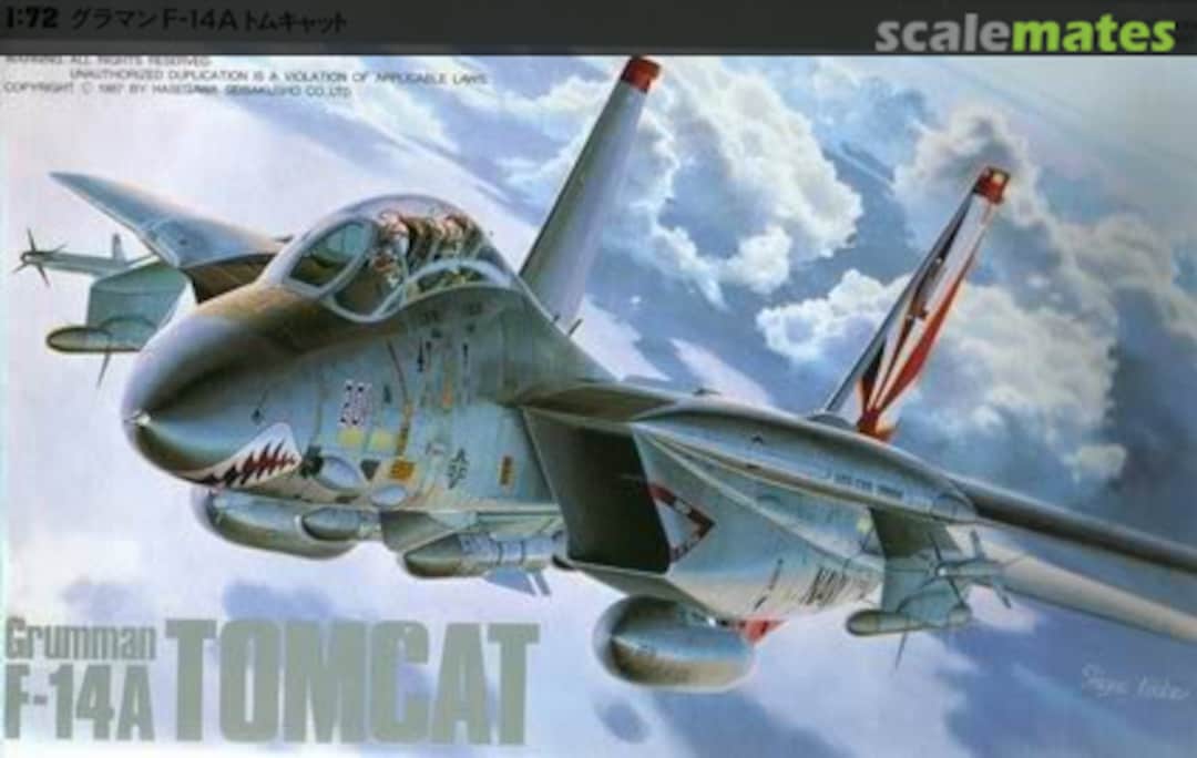 Boxart F-14A Tomcat 04512 Hasegawa Boxart F-14A Tomcat 04512 Hasegawa