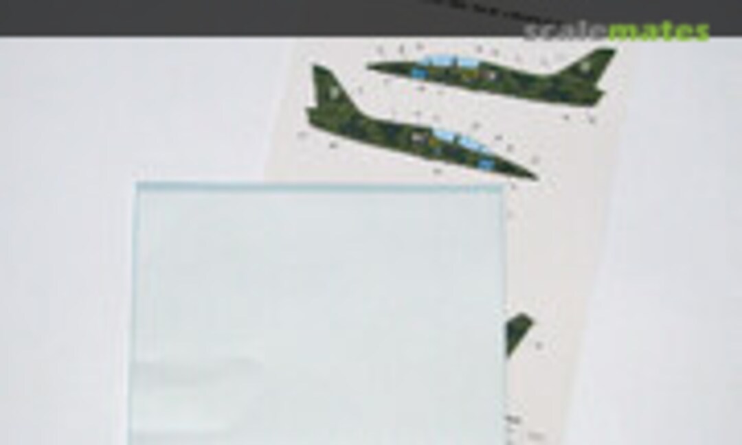 1:48 Masks for L-39M1 “Blue 80” (Foxbot FM48-016) FM48-016