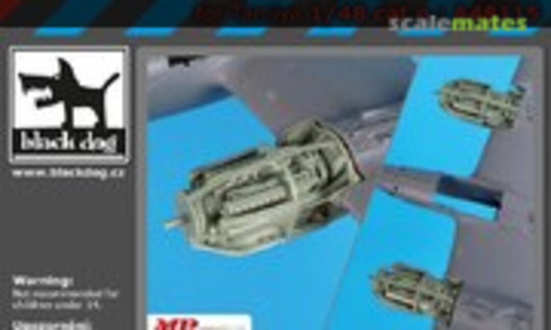 1:48 P-38F/G engines (2x) (Black Dog A48115) A48115