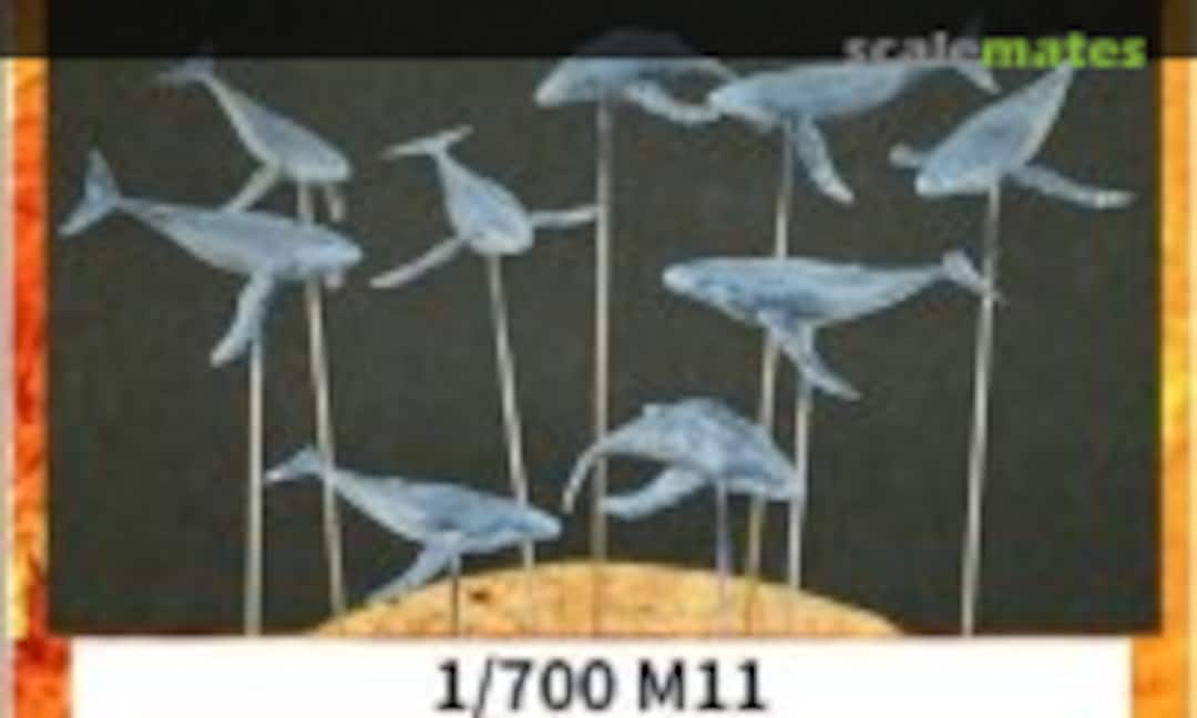 1:700 Humpback Whale (Fire Starter M11) M11