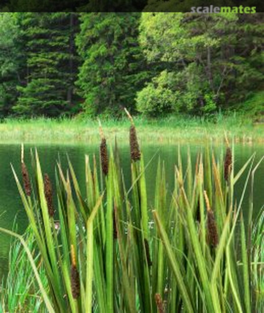 Boxart Bulrushes VG3-008 Model Scene Boxart Bulrushes VG3-008 Model Scene