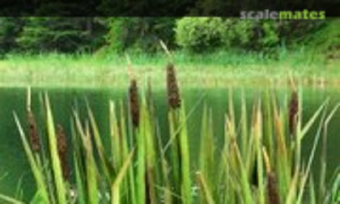No Bulrushes (Model Scene VG3-008) VG3-008