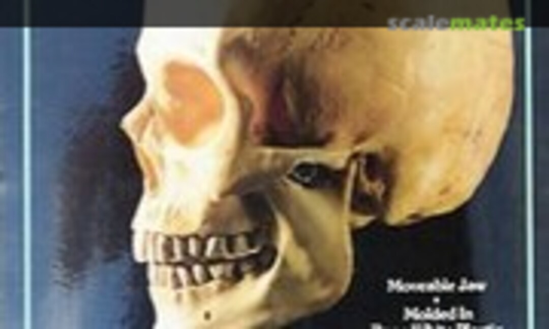 1:1 The Human Skull (Lindberg 71301)
