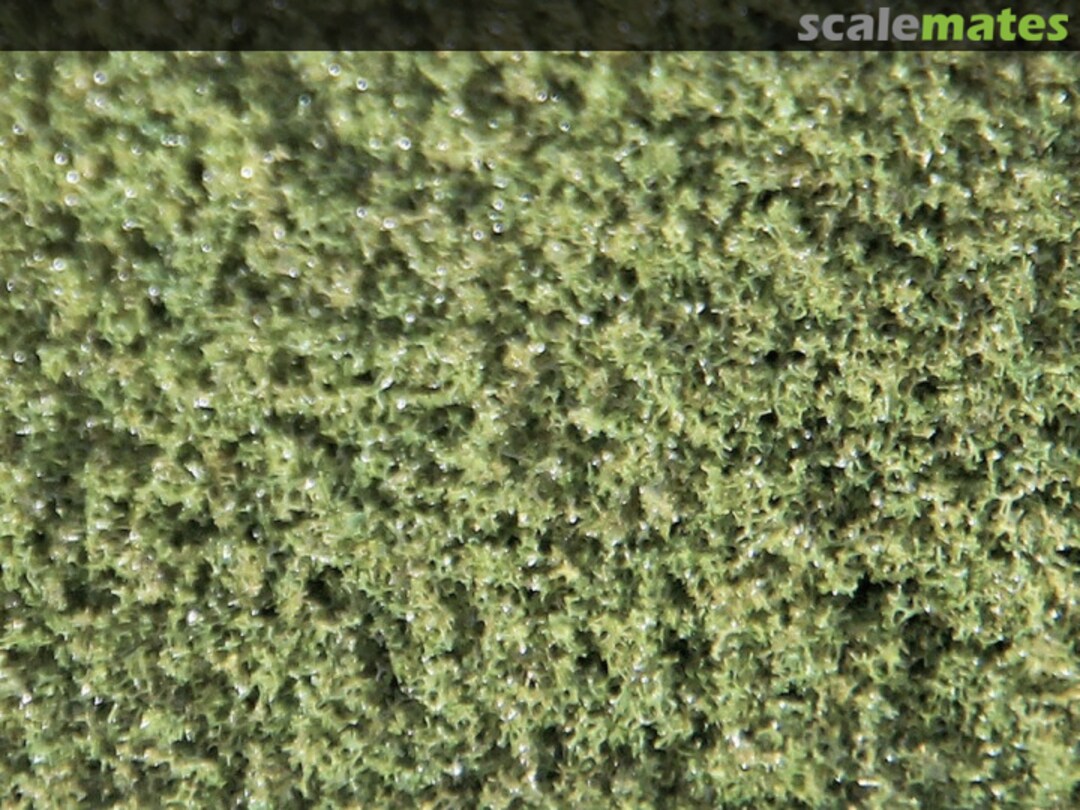 Boxart Moss Green Fine - Blended Fine 95249 JTT Scenery Products Boxart Moss Green Fine - Blended Fine 95249 JTT Scenery Products