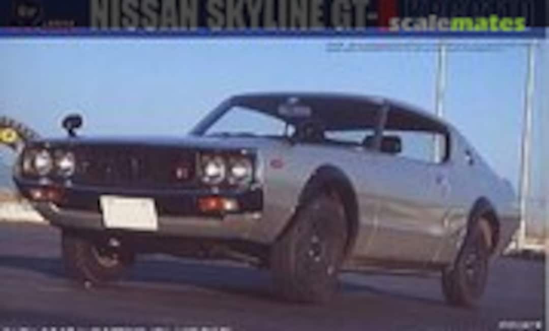 1:24 Nissan Skyline GT-R PGC110 (Fujimi 03658)