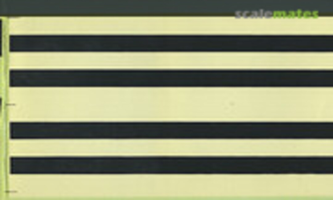 1:48 P-47 & P-51 (HISAIRDEC )