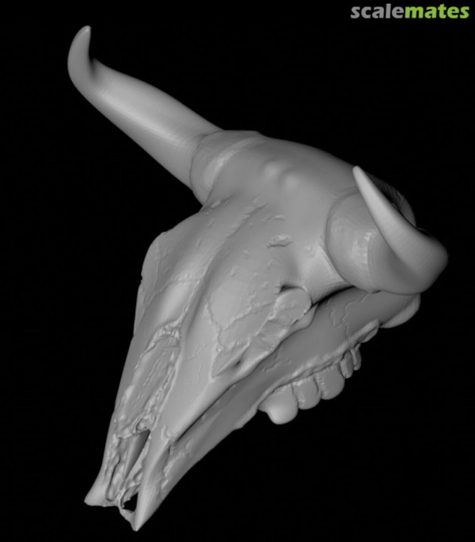 Boxart Bull skull - 10-12,5 mm 99161035-10 EMP3d Boxart Bull skull - 10-12,5 mm 99161035-10 EMP3d