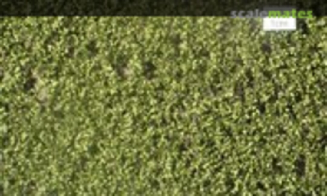 No Birch leaves, summer - Content ca. 27x16,5cm (Silhouette 910-32) 910-32