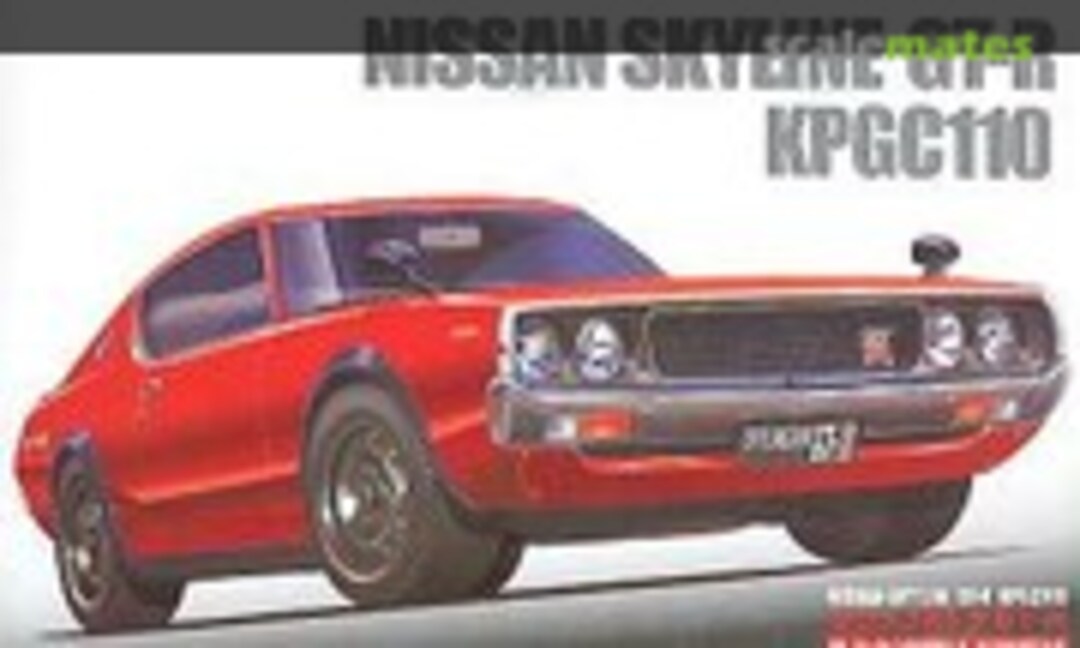 1:24 Nissan Skyline GT-R PGC110 (Fujimi 03622)