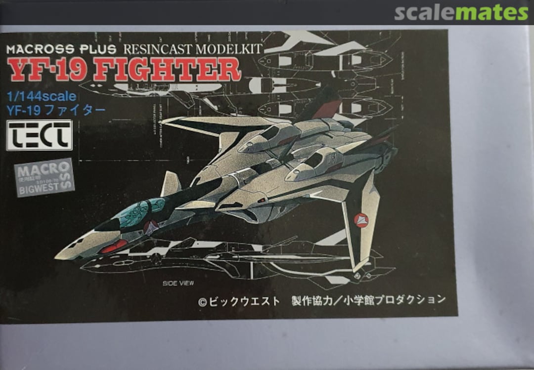 Boxart YF-19 Fighter Tect Models Boxart YF-19 Fighter Tect Models