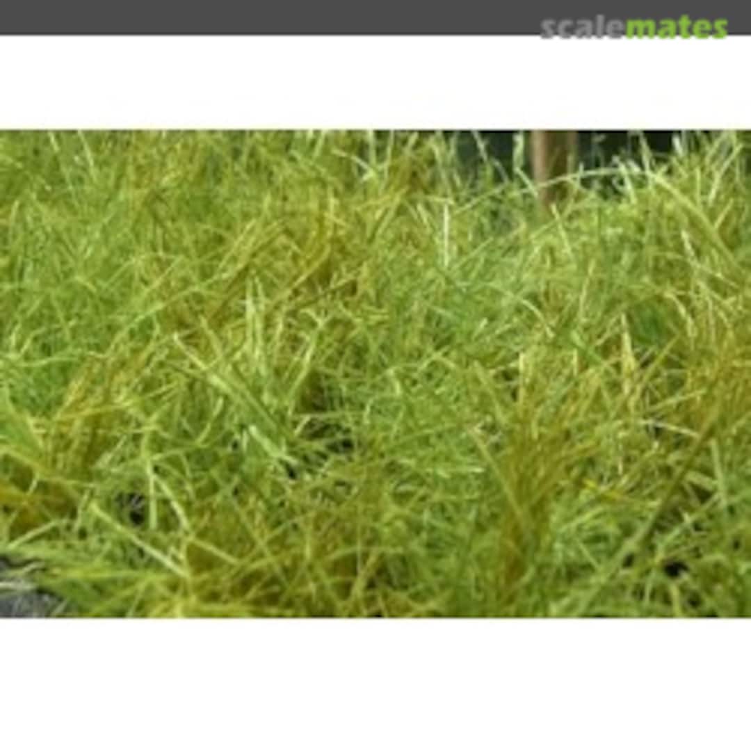 Boxart Tall grass for dioramas & scenic bases / 5g A063 MK35 Boxart Tall grass for dioramas & scenic bases / 5g A063 MK35