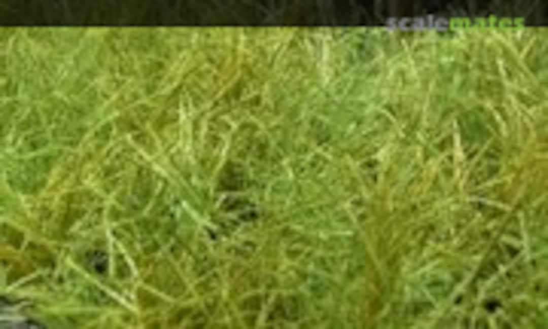 No Tall grass for dioramas & scenic bases / 5g (MK35 A063) A063