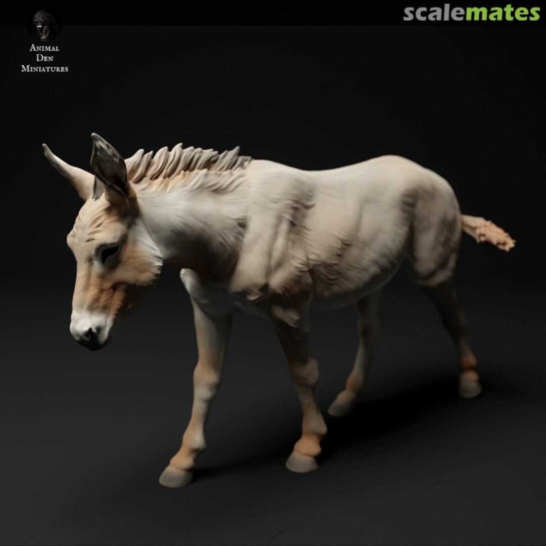 Boxart Donkey - walking 72130334 EMP3d