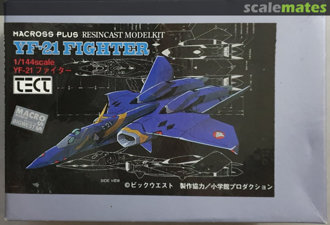 Boxart YF-21 FIGHTER Tect Models Boxart YF-21 FIGHTER Tect Models