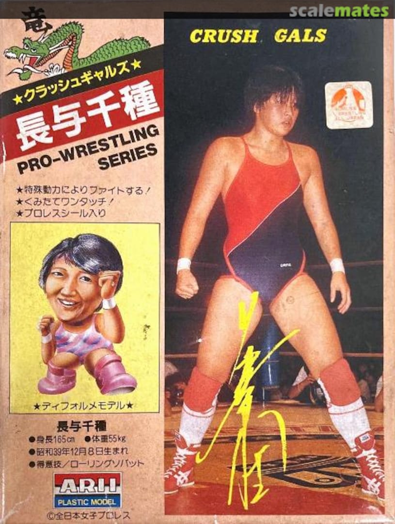 Boxart Nagayo Chigusa A101-400 ARII Boxart Nagayo Chigusa A101-400 ARII