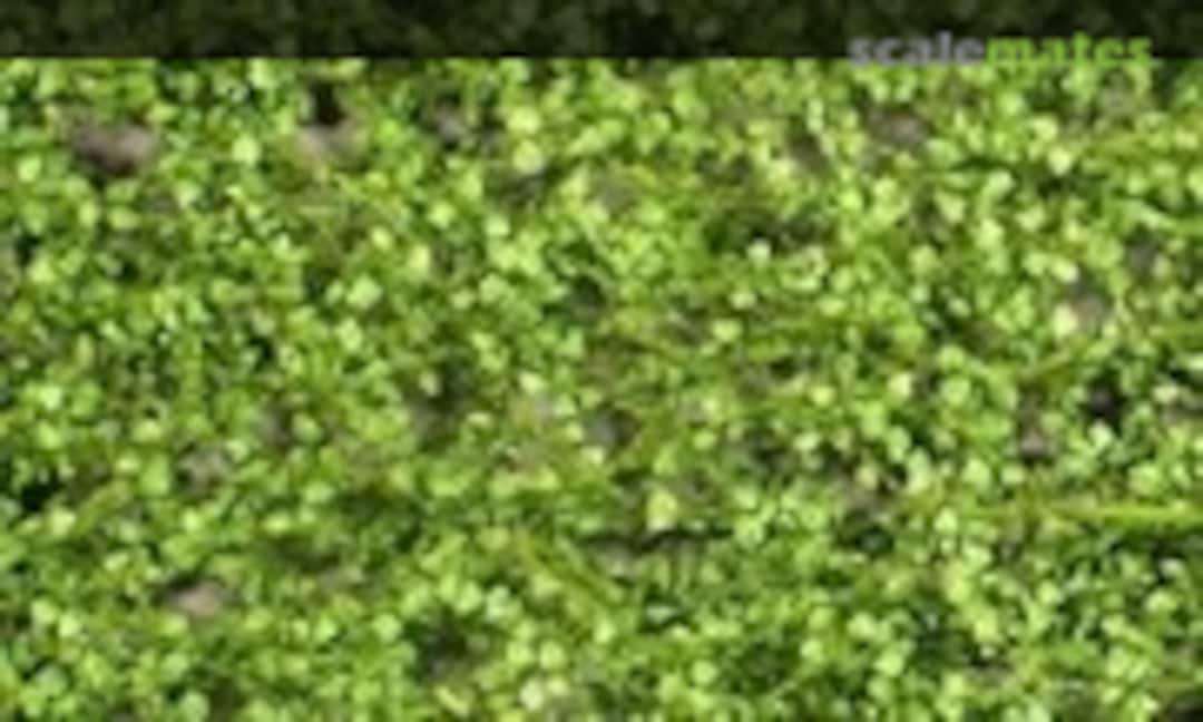 No Poplar pyramid foliage, spring - Content ca. 27x16,5cm (Silhouette 913-31) 913-31